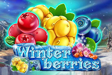 Winter Berries