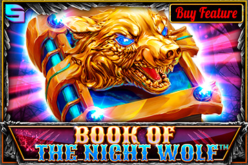 Book of the Night Wolf
