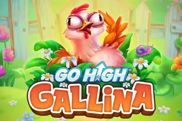 Go High Gallina